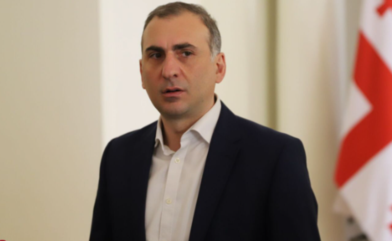 რაც საქართველოს ევროინტეგრაციას შეეხება, ყველგან ვიქნები, მიუხედავად ორგანიზატორებისა - ელისაშვილი