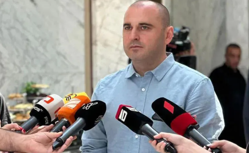 ვენეციის კომისიამ კიდევ ერთი ალიყური აარტყა რუსულ პარტიას - ხაბეიშვილი