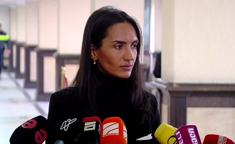 მოხარული ვიქნები, თუ ნიკა გვარამია ჩვენს გვერდზე იქნება - სოფო ჯაფარიძე ერთობის კომიტეტზე