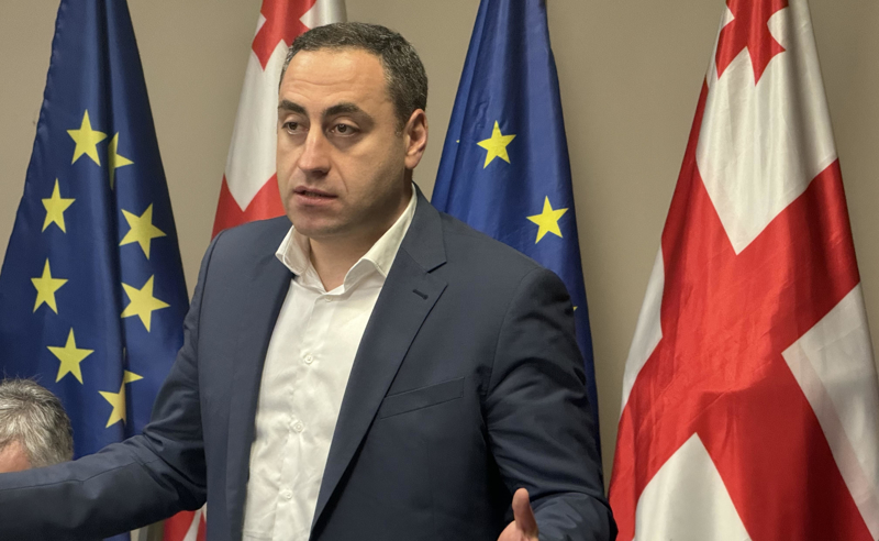 კობა ნაყოფია ივანიშვილის წინააღმდეგ ბრძოლაში წვლილს აუცილებლად შეიტანს - გიორგი ვაშაძე 