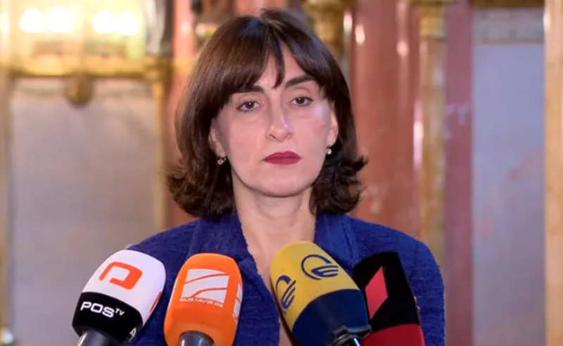 ბოჭორიშვილი ამბობს, რომ გახარია სააკაშვილს პოლიტიკური თამაშის ობიექტად იყენებს