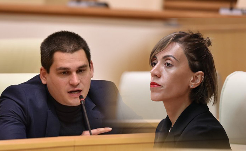"ენმ-ის ლანძღვა გახარიას ხმებს ვერ მოუტანს" - მწვავე დაპირისპირება ანა წითლიძესა და მიხეილ დაუშვილს შორის