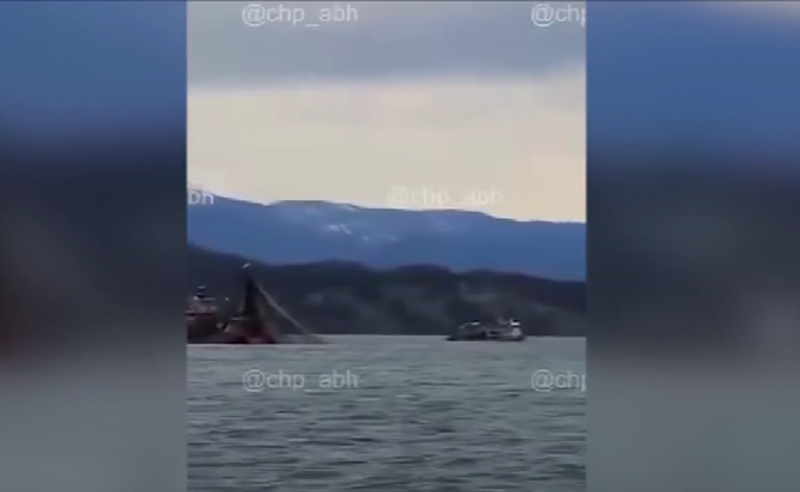 თურქული გემები გუდაუთაში - სოფლის მეურნეობისა და გარემოს დაცვის სამინისტრო ამ დრომდე დუმს