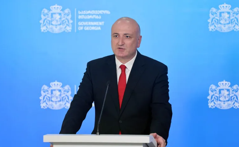 ქვეყანაში ჩვეულებრივი სეზონური გრიპი ტრიალებს, პანიკის საფუძველს ვერ ვხედავთ - ჯანდაცვის მინისტრი