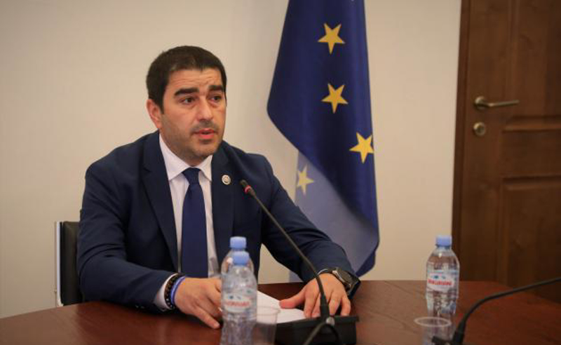არაკომპეტენტურობაა, რომ კონტექსტებში ვერ სვამს ელჩი საკუთარ სტატიებს - პაპუაშვილი დანიის ელჩზე