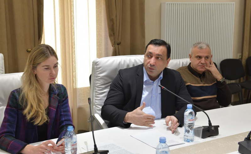 დეოლიგარქიზაციის საბოლოო გეგმასთან დაკავშირებით მნიშვნელოვანია, მესამე სექტორის ხედვებს გავეცნოთ - ბეჟაშვილი 