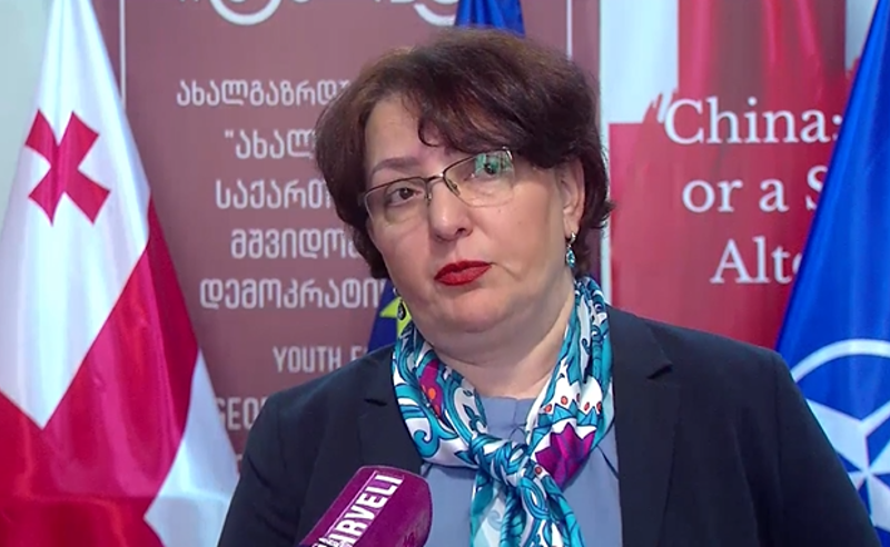 არ გამოვრიცხავ, რომ "ოცნებამ" არჩევანი NATO-ს ნაცვლად BRICS -ზე გააკეთოს - თინა ხიდაშელი