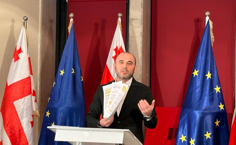 ხაბეიშვილი ივანიშვილს: თუ არ გეშინია, თუ მუხლები არ გიკანკალებს, მაშინ გაათავისუფლე პრეზიდენტი 