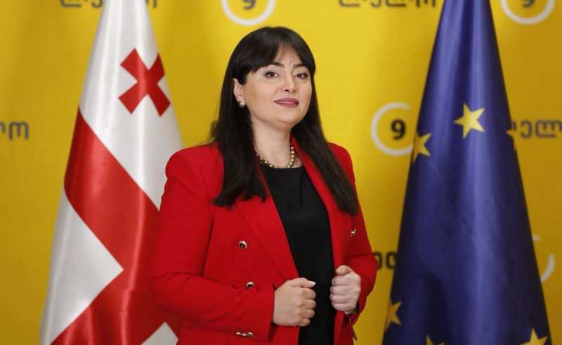 შს მინისტრის სკანდალი - ოპოზიცია გამოძიების დაწყებას ითხოვს
