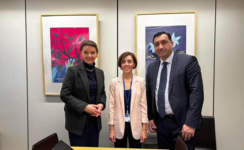ლევან ბეჟაშვილი და ანა წითლიძე ნორვეგიის დელეგაციის ხელმძღვანელს შეხვდნენ