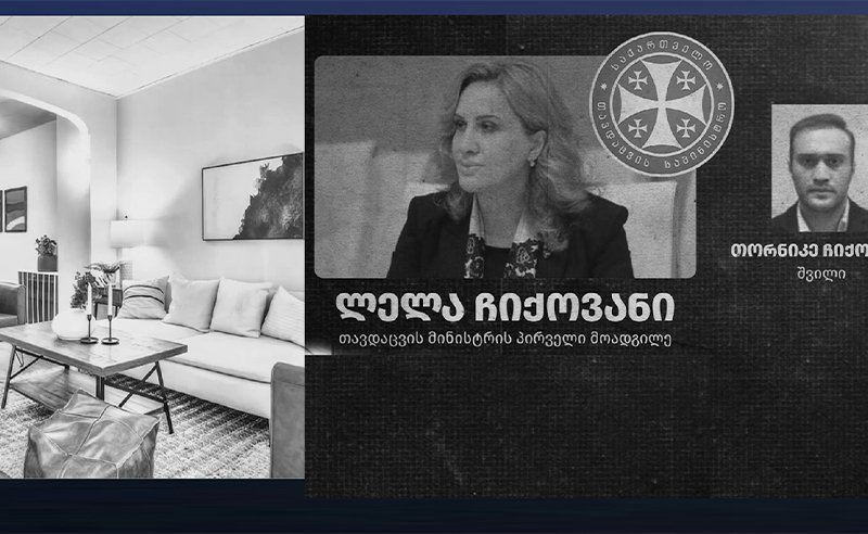 ექსკლუზივი: აღმოჩენილია თავდაცვის მინისტრის მოადგილის შვილის სახელზე გაფორმებული მდიდრული სახლი ამერიკაში