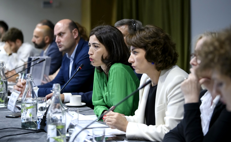 ევროკომისიის დათქმებზე მუშაობა იწყება - "ოცნებამ" ენჯეოების ნაწილი დაბლოკა
