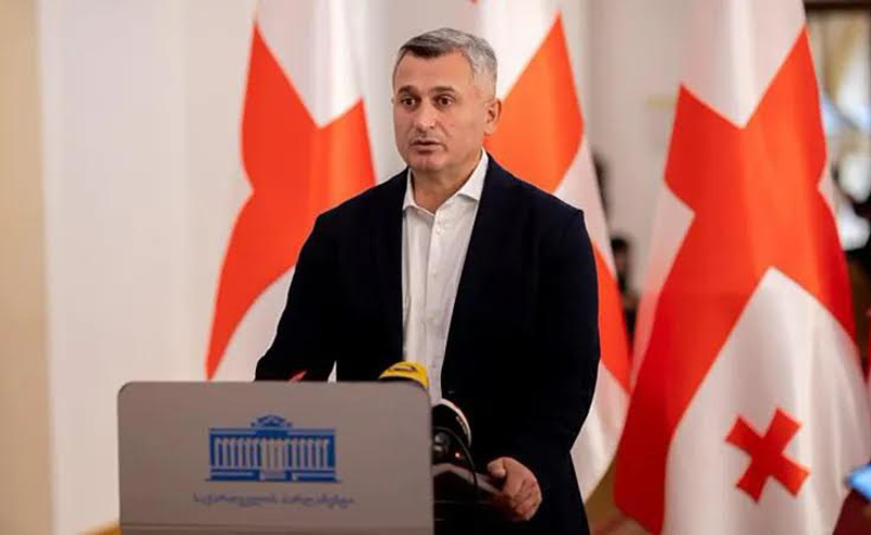 EU-ს 9 რეკომენდაციის შესრულებასთან დაკავშირებით ენმ საკუთარ გეგმას წარადგენს - კირკიტაძე