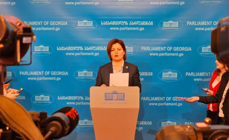 სამთავრობო ცვლილებები მმართველ გუნდში ადასტურებს, რომ "ოცნების" გემი იძირება - ანა ნაცვლიშვილი