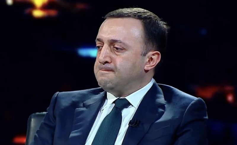 ქვეყანას პირნათლად ვემსახურე - ღარიბაშვილი