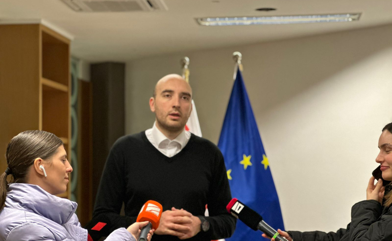 ქართველ ხალხი დაიღალა ივანიშვილის ხრიკებით - ირაკლი ფავლენიშვილი