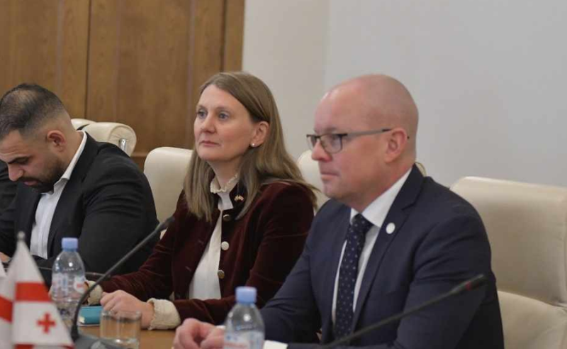საქართველოს EU-ს გზაზე მთავარი ნაბიჯია, რომ მომავალი არჩევნები იყოს თავისუფალი, სამართლიანი და კონკურენტუნარიანი - შვედეთის ელჩი