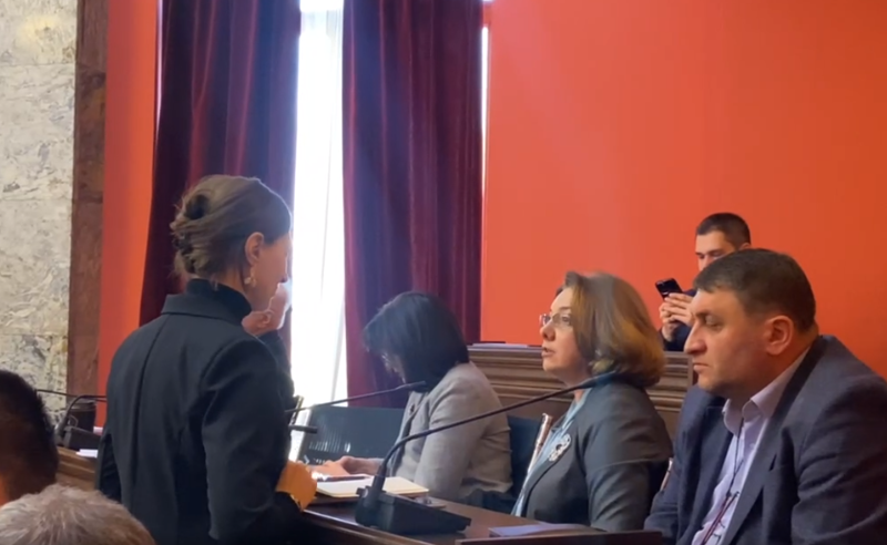 "ივანიშვილის ხსენებაზე მიკროფონს რთავთ" - სამადაშვილი ოხანაშვილს