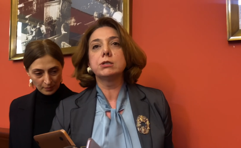 სალომე სამადაშვილი კომიტეტის სხდომიდან გააძევეს - რას მოჰყვა დაპირისპირება