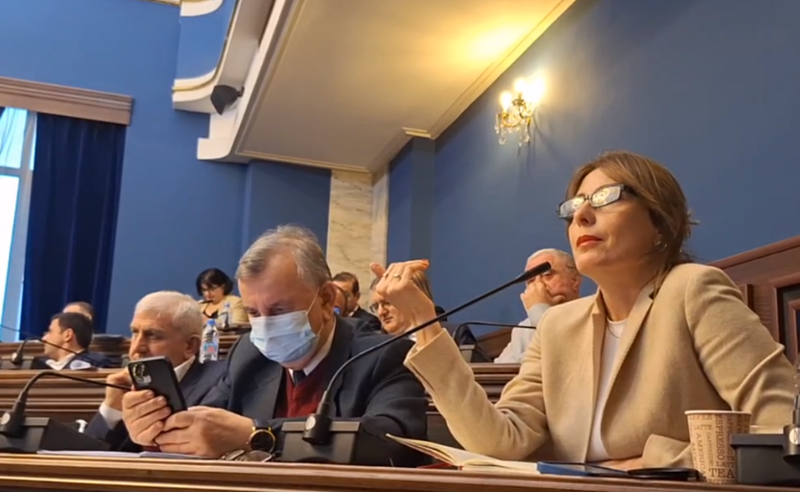 ძალიან უხერხულია, რომ შოვის ტრაგედიაზე მირთავთ მიკროფონს - დეკანოიძე სონღულაშვილს