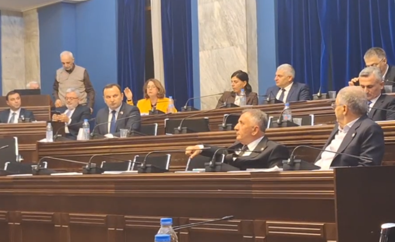 როგორ ფლანგავთ ბიუჯეტს საკუთარი პარტიული აქტივის მოსყიდვისთვის, არ გინდათ, რომ ვისაუბრო - სამადაშვილი სონღულაშვილს