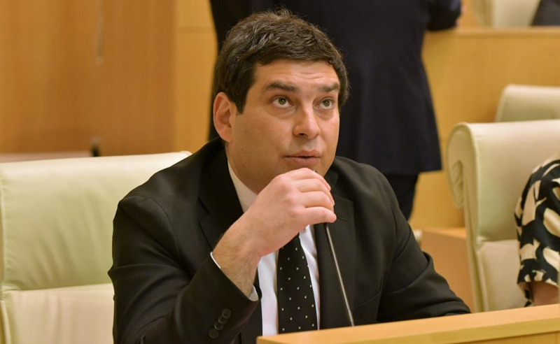 სალომე ზურაბიშვილის საქმე არ არის, გუნდის შიგნით ჩვენ რა პოლიტიკურ გადაწყვეტილებებს მივიღებთ - "ოცნება"