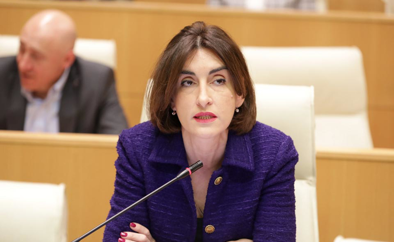 რაც მეტს ილაპარაკებთ, მეტ უცოდინარობას გამოავლენთ - ბოჭორიშვილი ვაშაძეს