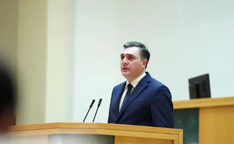 დარჩიაშვილმა მოხსენება ისე დაასრულა, რომ რუსების მიერ გატაცებული და მოკლული საქართველოს მოქალაქეები არ უხსენებია
