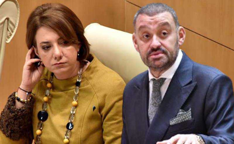 "უცოდინრები, ხელმოცარულები, უზრდელები" - ხმაური კომიტეტის სხდომაზე