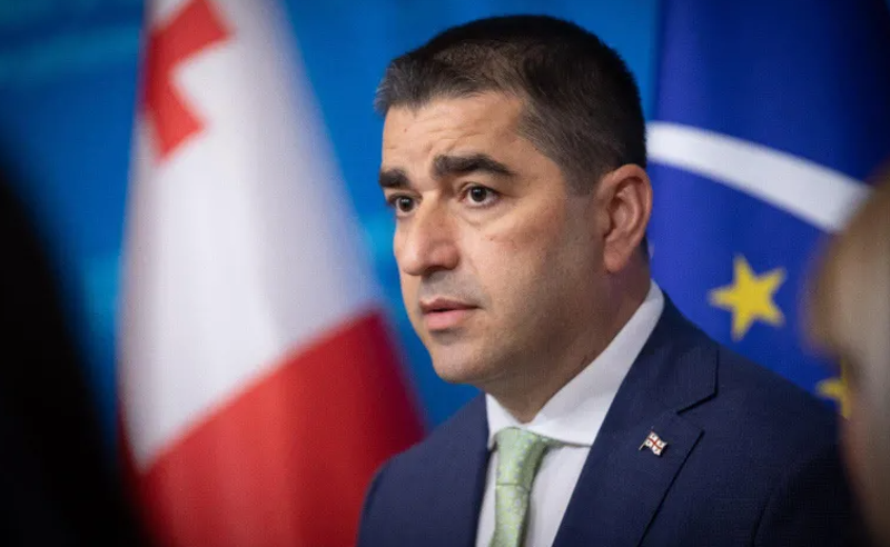 შემაძრწუნებელია ის ტრაგედიები, რაც ბაღდათსა და აჭარის რეგიონში სტიქიებს მოჰყვა - პაპუაშვილი