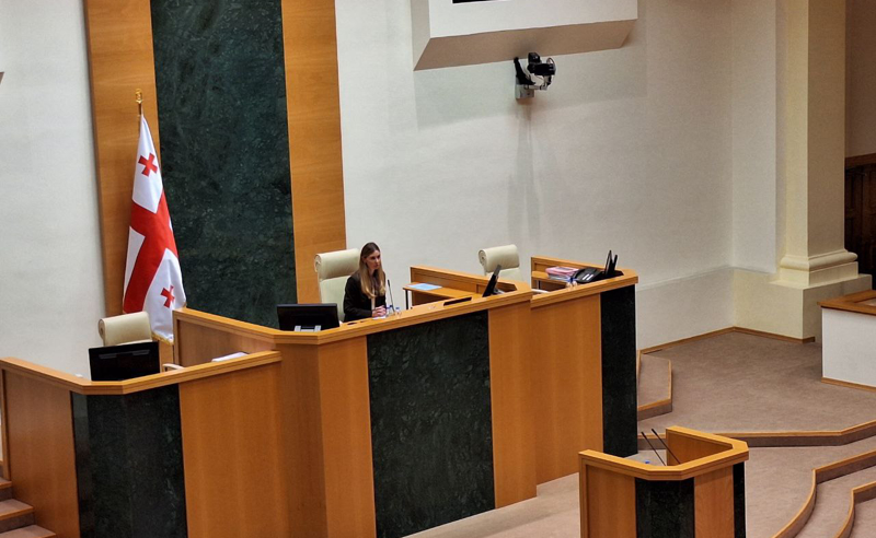 უმჯობესი იქნებოდა, პოლიტიკურ ჯგუფებს, ფრაქციებს ცალ-ცალკე შეხვედრის შესაძლებლობა ჰქონოდა, თუმცა პაპუაშვილისგან უარი მივიღეთ - ბოკუჩავა