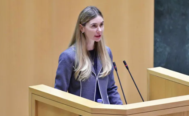 ზოგიერთ ოპოზიციურ პოლიტიკურ პარტიას იდენტობის პრობლემა აქვს - ბოკუჩავა