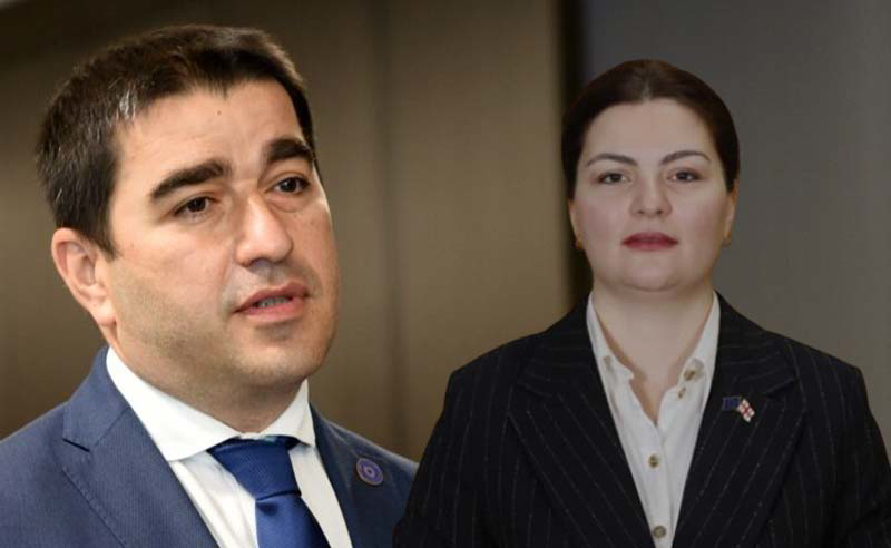 ანა ნაცვლიშვილის კრიტიკული კითხვების პასუხად, პაპუაშვილმა "ლელოს" გულსაბნევი დაუწუნა