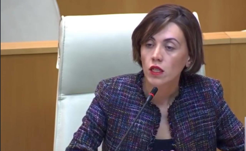 როდის დაიწყება უფასო კვების პროგრამის განხორციელება სკოლებში? - წითლიძე კობახიძეს