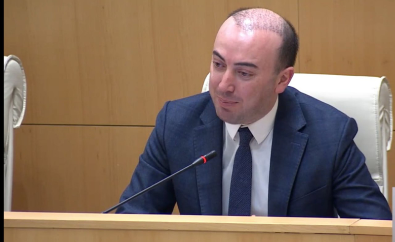 ემიგრანტების ფული გინდათ ქვეყნის ეკონომიკაში, ხოლო მათი არჩევნებში მონაწილეობა არა - ხაჯიშვილი კობახიძეს
