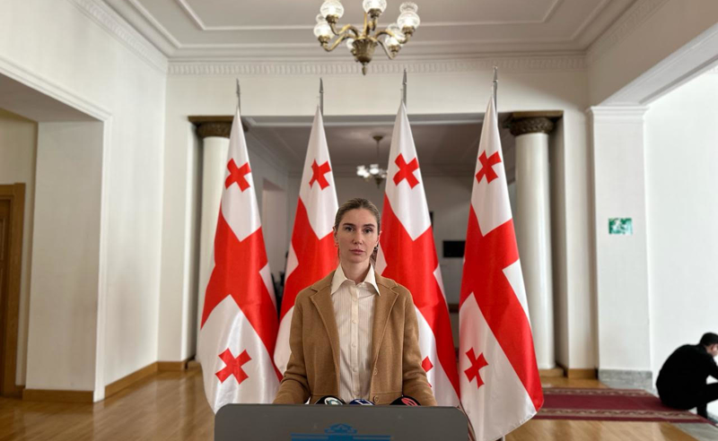 ხელისუფლების ცვლილებისთანავე, ჩვენ ვპირდებით საზოგადოებას, პირველივე ას დღეში განვახორციელებთ ცვლილებებს და დაჩქარებული წესით შევიყვანთ ქვეყანას ევროკავშირში - ბოკუჩავა