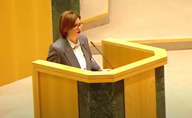 "ხელისუფლება აცხადებს უარს, შეასრულოს 9-დან ერთ-ერთი საკვანძო რეკომენდაცია' - ნაცვლიშვილის სიტყვას პარლამენტში ხმაური მოჰყვა