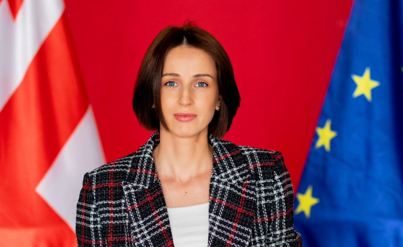 ივანიშვილის ხელისუფლება არ ემსახურება საქართველოს მოქალაქეებს, იქნება ეს მიუნხენის კონფერენცია თუ სხვა ნებისმიერი შესაძლებლობა - თათია ნიკოლაშვილი