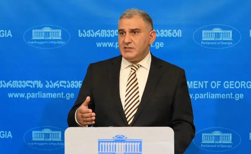 მომზადებული ბომბი ხელში აუფეთქდათ, განკარგულების თემაზე აჟიოტაჟიდან ყველაზე ცუდად გახარიას გუნდი გამოვიდა - სარჯველაძე