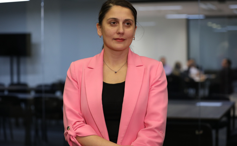 პუნქტს, რომელიც საარჩევნო პროცესში ძირეულ რეფორმებს ეხება, შესრულებულად ვერ ჩავთვლით,  რადგან ვენეციის კომისიის რეკომენდაციებს არ ითვალისწინებს - ანა კობახიძე