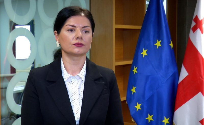 ოკუპირებული ტერიტორიების მშვიდობიანი დეოკუპაცია მოხდება იმ შემთხვევაში თუ საქართველო გახდება ევროკავშირის და ნატოს წევრი, ამისთვის კი აუცილებელია საქართველოში შეიცვალოს ხელისუფლება -  ბალიაშვილი