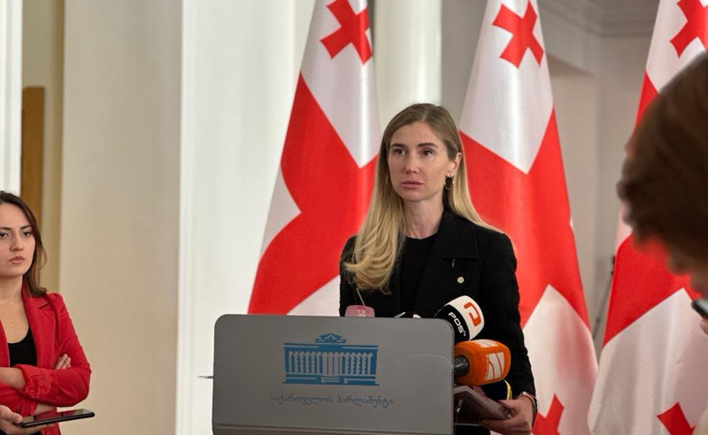 ივანიშვილი ხალხის პრობლემებს მოწყვეტილია - ბოკუჩავა