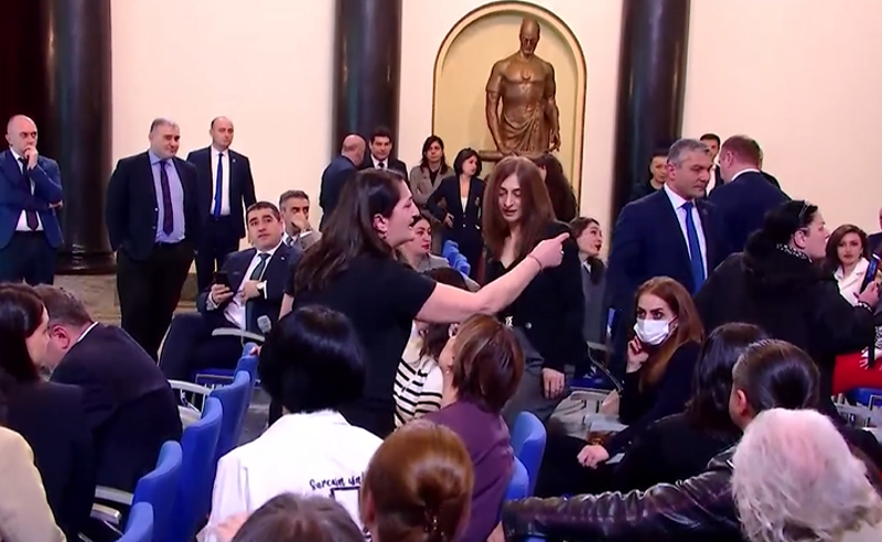 ჩხუბი პარლამენტში - დაპირისპირება შინაურ ცხოველებთან დაკავშირებულ კანონპროექტზე და ე.წ. შავი სია ექსპერტების დასაბლოკად
