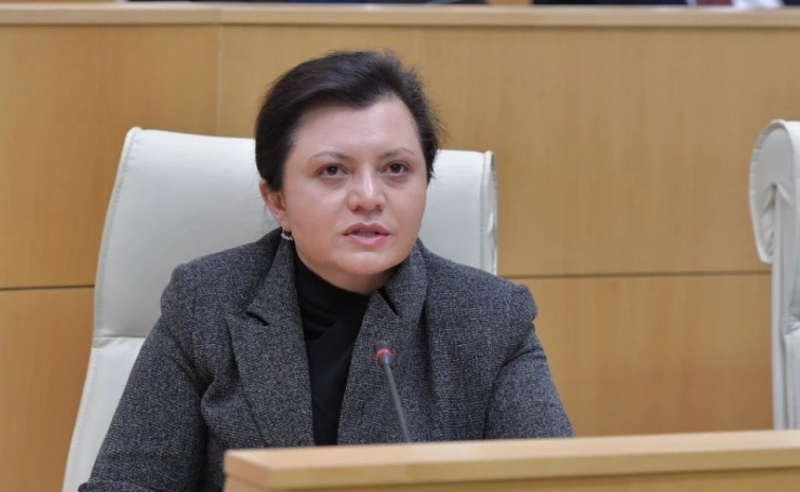 "ან შიში პუტინისადმი ან თქვენი გამბედაობა" - ეკა ხერხეულიძე პრეზიდენტს სააკაშვილის შეწყალებისკენ მოუწოდებს