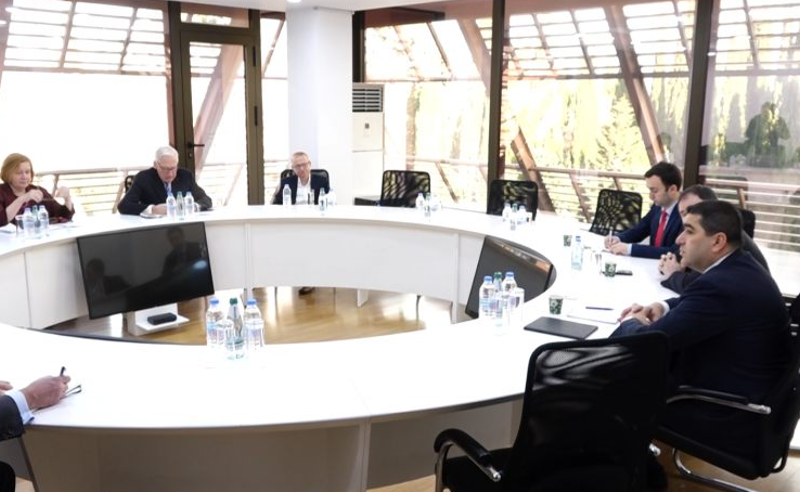 პაპუაშვილი NDI-ის წინასაარჩევნო საერთაშორისო სადამკვირვებლო მისიის წარმომადგენლებს შეხვდა