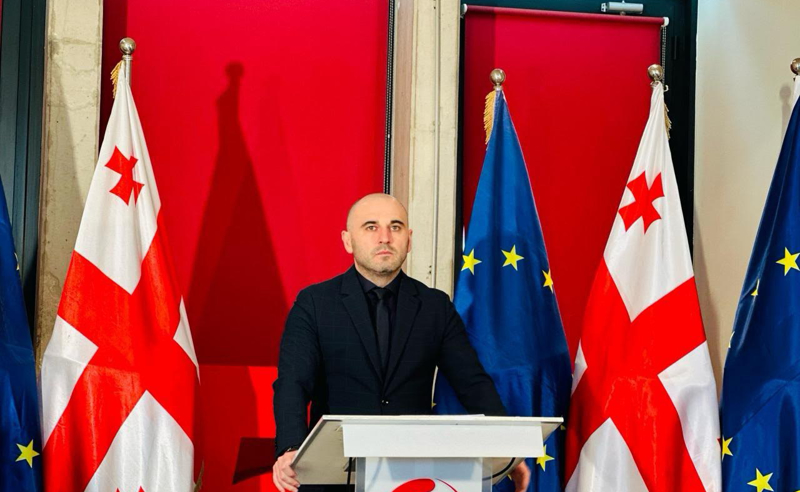ივანიშვილმა და კალაძემ ჯარიმებით 111 მილიონი ლარი მოიპარეს - ხაბეიშვილი