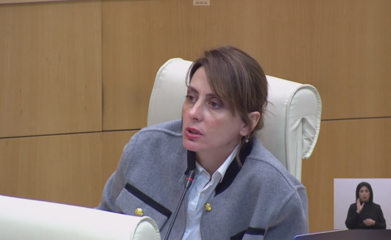 საქართველოს ტერიტორია სანქცირებული მანქანების რუსეთში გადასაყვანად გამოიყენება - დეკანოიძის კითხვა მინისტრს