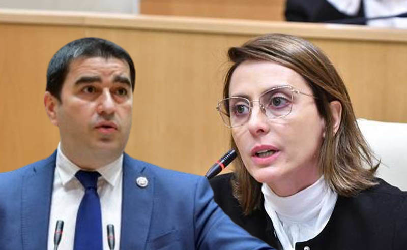 დეპოლარიზაციის მაგალითი არ ხართ - დეკანოიძე პაპუაშვილს