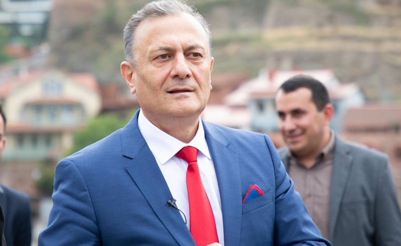 "რამდენ ხანს აპირებთ სირაქლემას პოზაში ყოფნას" - ნათელაშვილის წერილი "ოცნებისა" და ოპოზიციური პარტიების დეპუტატებს