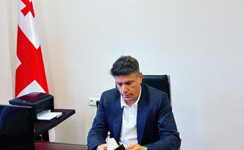 ფარცხალაძის პარტიის საერთაშორისო მდივანი "მელაძის შაბათს": "პოლიტიკაში სუფთა წარსულით მოვდივარ"